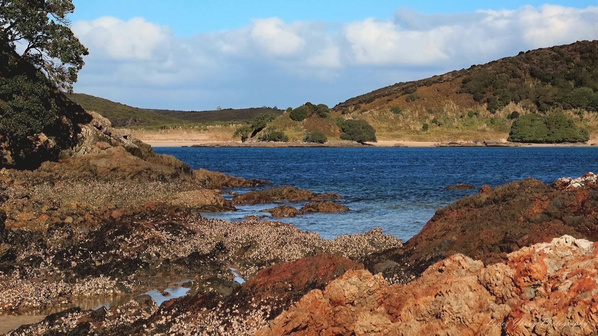 Landscapes Marine Colours.