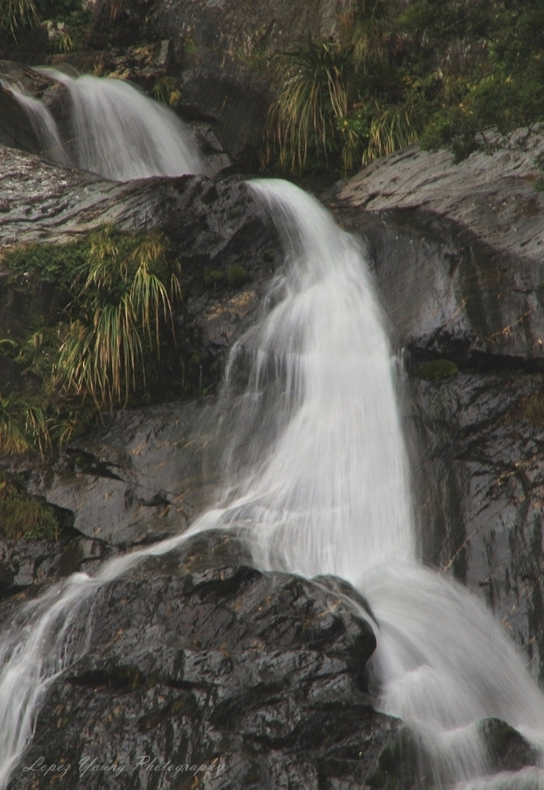 Landscapes Fantail Falls.