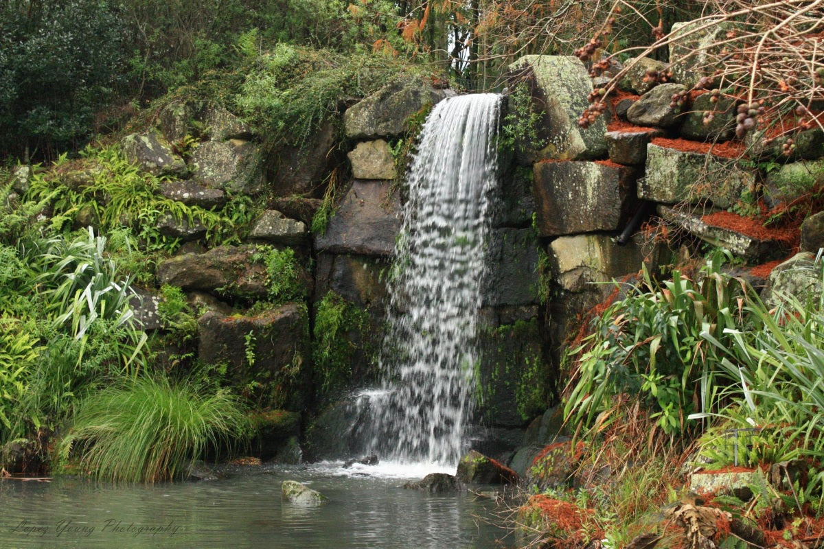 Landscapes Waikato Water Fall