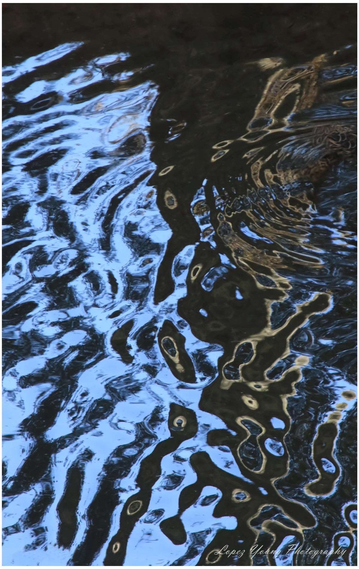 Others Ripples on the River.