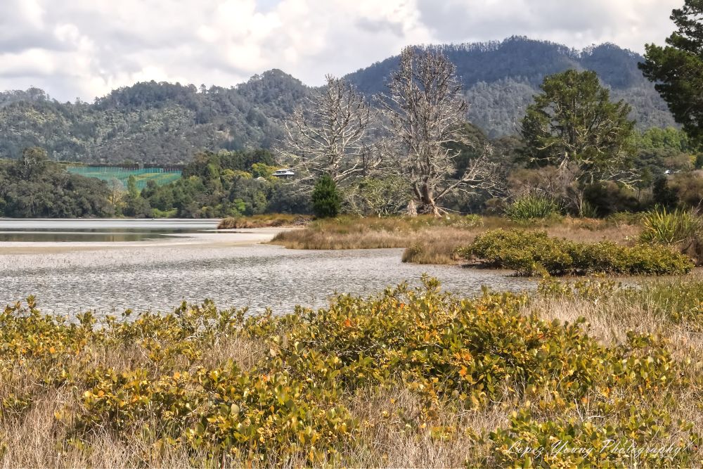 NZ Landscapes Taupiri Point