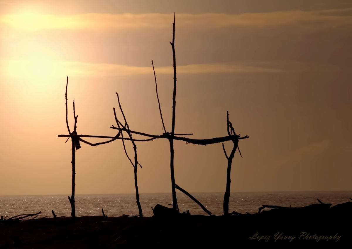 Landscapes Driftwood Art